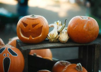 Get Ready — The End Of November Will Be Massive For XRP, CEO Says