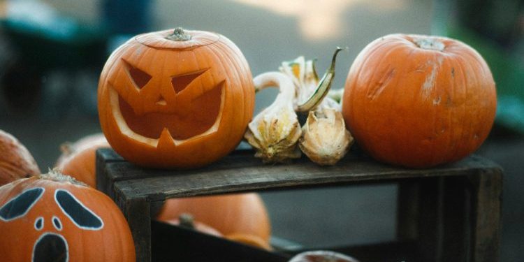 Get Ready — The End Of November Will Be Massive For XRP, CEO Says