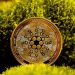 Forget The Obituaries—Cardano Is Alive, Says Bitcoin Analyst