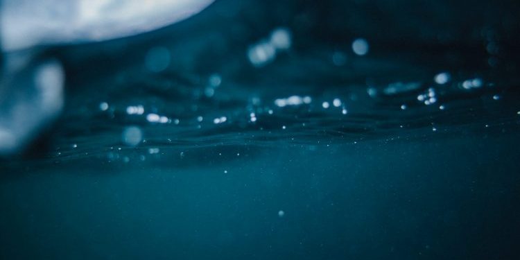 With 42% Of XRP Holders Underwater, Analysts Say The Altcoin Could Crash Even Further