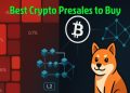 Best Crypto Presales to Buy and HODL After the Massive Crypto Selloff