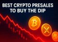 Best Crypto Presales To Buy The Dip While The Market Is Down
