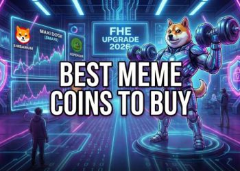 Best Meme Coins To Buy Before the Shibarium 2026 Privacy Upgrade