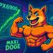 Why Maxi Doge Could Run After SPX6900 Rebound – Best Meme Coins Reset