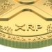 Analyst Reveals What Ripple’s Latest Launch In The US Means For The XRP Price