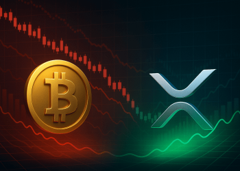 XRP, Bitcoin Now In “Good Buy Zone,” Says Analytics Firm