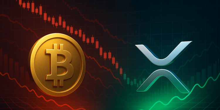 XRP, Bitcoin Now In “Good Buy Zone,” Says Analytics Firm