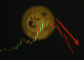 Can Dogecoin Really Fall To $0.05 In 2026? This Analyst Thinks So