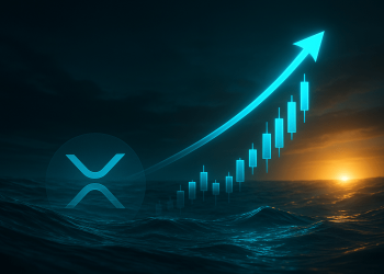 XRP Whale Wallets Collapse 20%, But Biggest Holders Hoard More Than Ever
