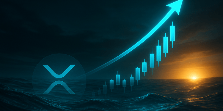 XRP Whale Wallets Collapse 20%, But Biggest Holders Hoard More Than Ever