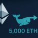 Massive Ethereum Distribution Continues: Whale Sends Another 5,000 ETH To Binance