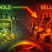 XRP Selling Pressure Returns: Investors Shift From Holding to Distribution