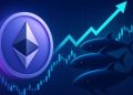 Smart Whales Align: Top Performers Go All-In On Ethereum Long Positions With Over $425M in Exposure