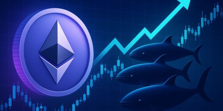 Smart Whales Align: Top Performers Go All-In On Ethereum Long Positions With Over $425M in Exposure