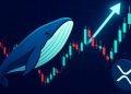 XRP Whale Activity Spikes At The Bottom – A Classic Pre-Rally Signal