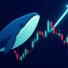 XRP Whale Activity Spikes At The Bottom – A Classic Pre-Rally Signal