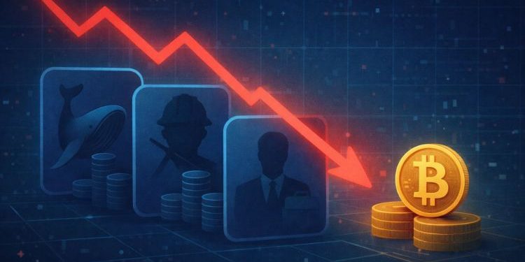 Who Really Sold The Dip? On-Chain Data Exposes Bitcoin’s True Sellers