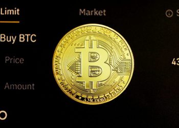 Bitcoin Adoption Is Just Getting Started — 200x Growth Possible, Tom Lee Says