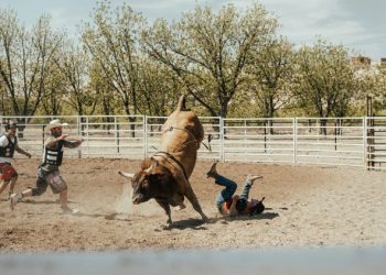 $748 Million Bitcoin Buying Spree Sparks Bullish Momentum