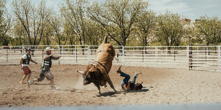 $748 Million Bitcoin Buying Spree Sparks Bullish Momentum