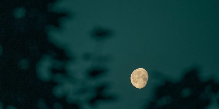 Bitcoin Headed For $200 Trillion? CEO Makes Bold Prediction