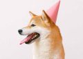 Dogecoin’s Dozen Years: King Of Meme Coins Marks 12th Birthday In Rough Markets