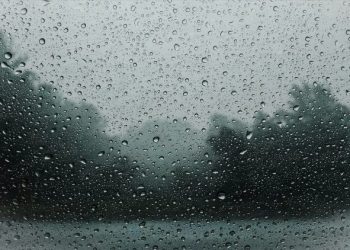 Shiba Inu Remains A Familiar Crypto Name As Losses Pile Up