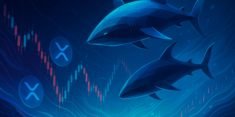 XRP Selloff: Whales Shed Coins Worth $1 Billion In A Week