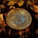 Bitcoin Emerges As A Hedge Amid Rising Global Geopolitical Tensions