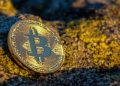 Analyst Outlines The Bulllish And Bearish Scenarios For Bitcoin – Here’s What To Know