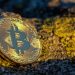 Analyst Outlines The Bulllish And Bearish Scenarios For Bitcoin – Here’s What To Know