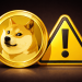 Dogecoin Is A ‘Client-Statement Risk’ For Advisers, ETF Experts Say