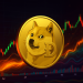 Is The Dogecoin Rally A Dead Cat Bounce? Analysts Weigh In