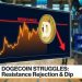 Dogecoin (DOGE) Meets Resistance and Hesitates, Market Tone Changes