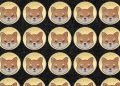 Here’s Why The Shiba Inu Price Jumped Over 13%
