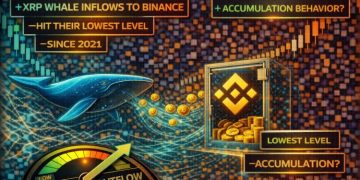 XRP Whale Inflows To Binance Hit Their Lowest Level Since 2021: Accumulation Behavior?