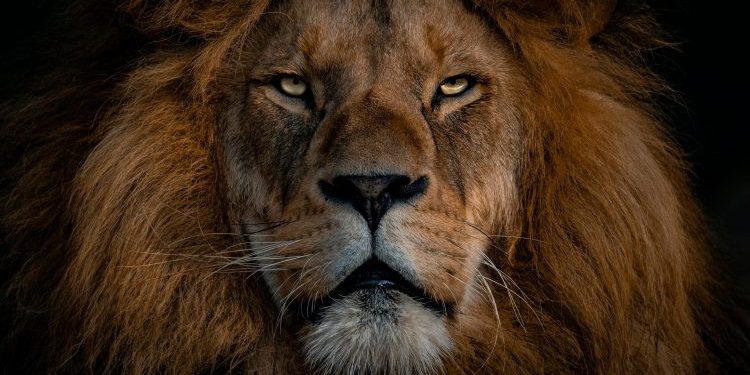 Bitcoin ETFs Bring The Heat: $1.2 Billion Flows In First 48 Hours—Analyst