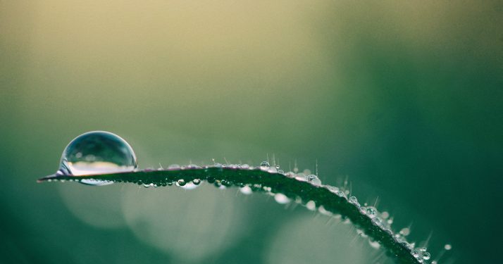 Sui Restores Service After Major 6-Hour Outage Shook Network