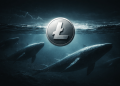 Litecoin Whale Activity Spikes To 5-Week High: Reversal Or Continuation Signal?