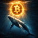 Bitcoin Whales Quietly Scoop Up $4.7B in BTC, Pushing Bitcoin Hyper Into the Spotlight