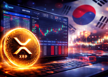 This Korean XRP Exchange Data Has The Community Losing It