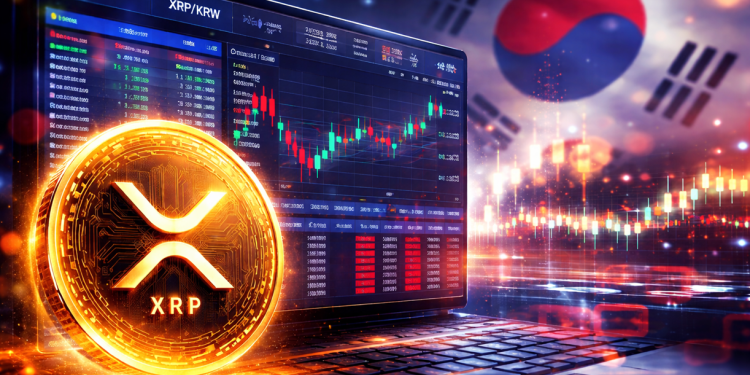 This Korean XRP Exchange Data Has The Community Losing It