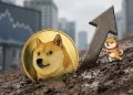 Dogecoin (DOGE) Trapped In Weak Rebound, Bears Still In Charge
