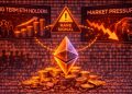 Long-Term Ethereum Holders Expand Positions While Market Faces Pressure: Rare Signal Emerges