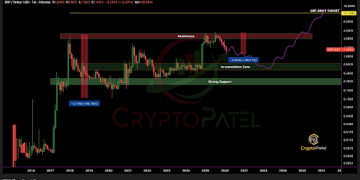 XRP Price To $1 Or $10? Analyst Warns Investors Of Possible Crash
