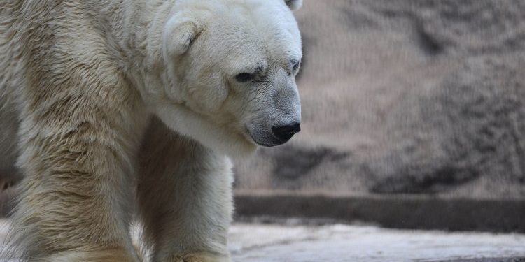 Crypto Industry Set For Big Shakeups, Massive Consolidation Expected: CEO